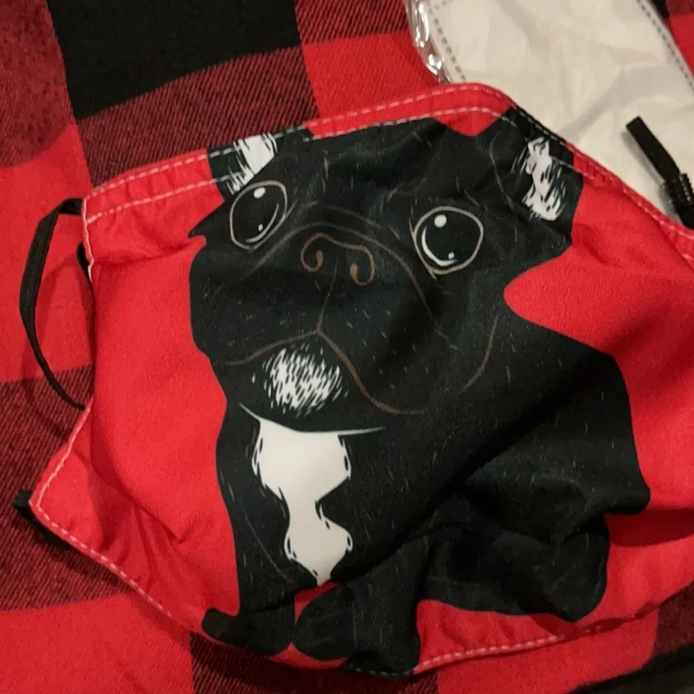 New French bulldog face mask